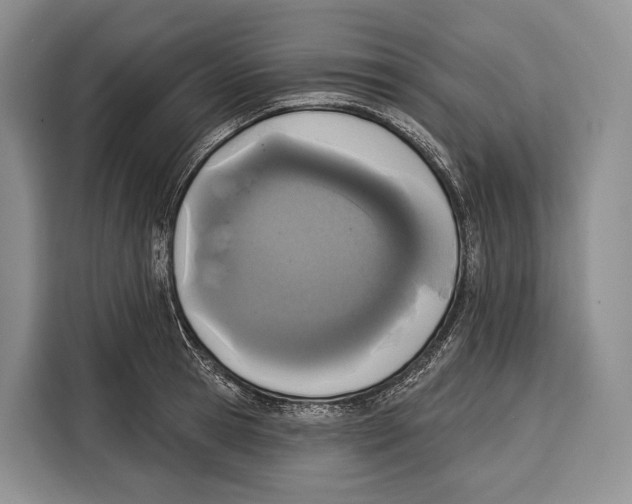 X0000115110945200911241324