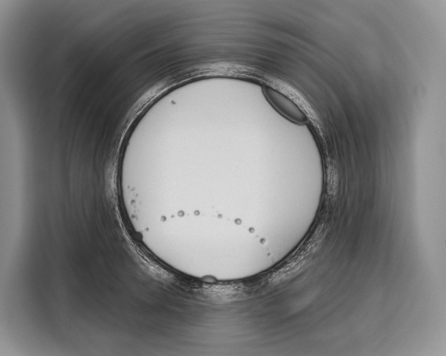 X0000115110946200911241324