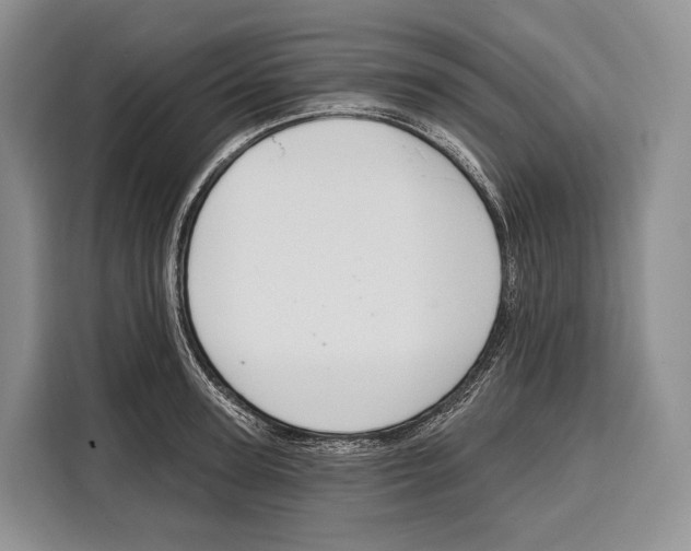X0000115110947200911241324