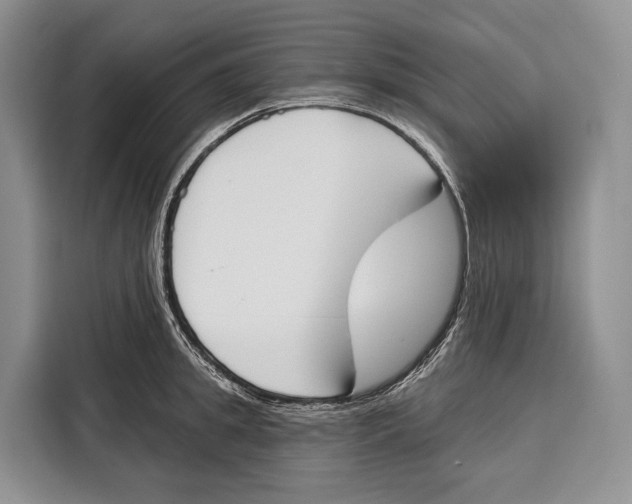 X0000115110949200911241324