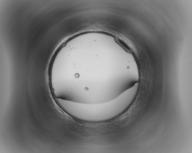 X0000115110950200911241324