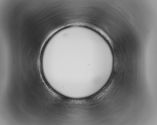 X0000115110951200911241324