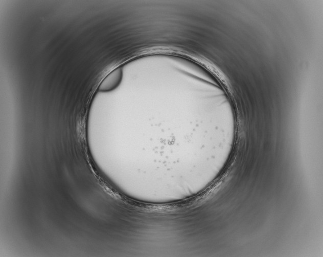 X0000115110953200911241324