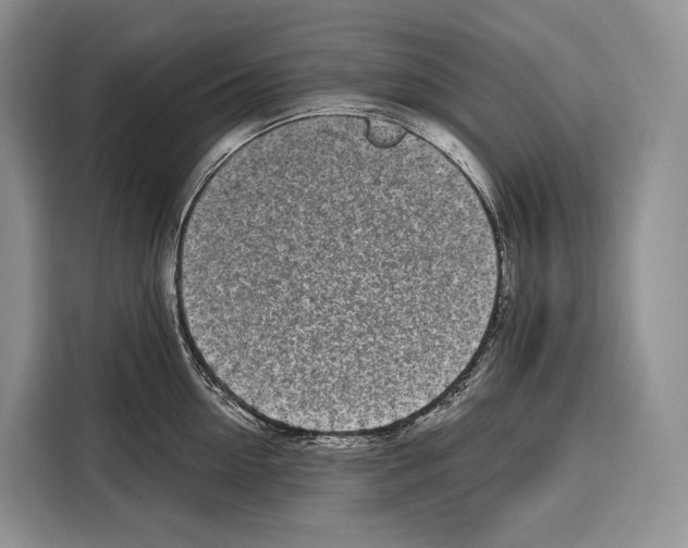 X0000115110954200911241324