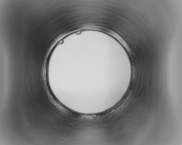 X0000115110955200911241324