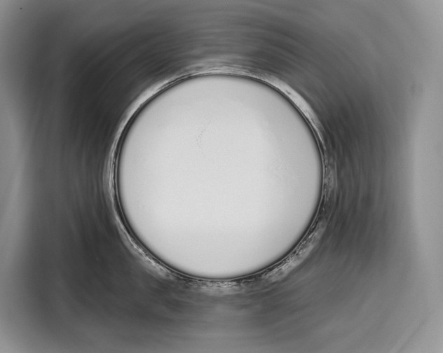 X0000115110957200911241324