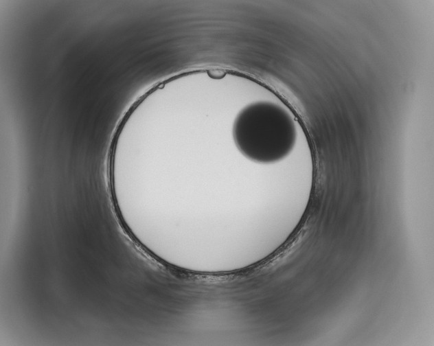 X0000115110958200911241324