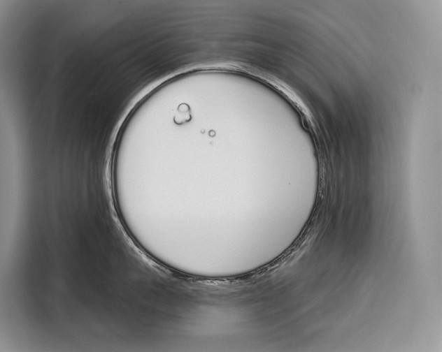 X0000115110959200911241324