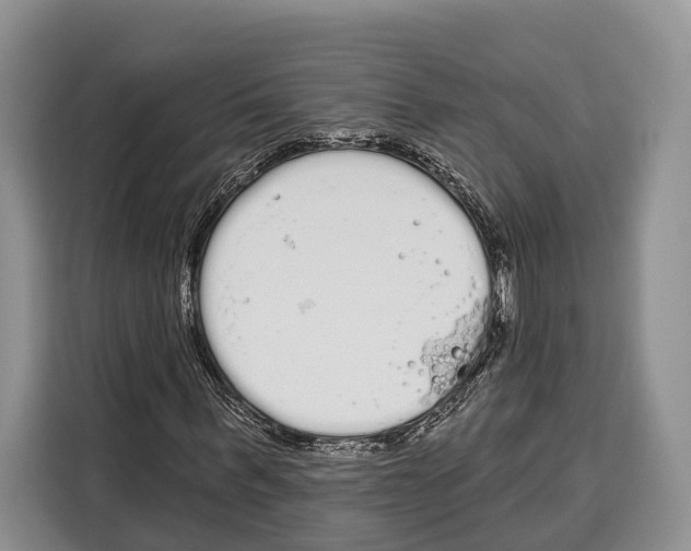 X0000115110963200911241324