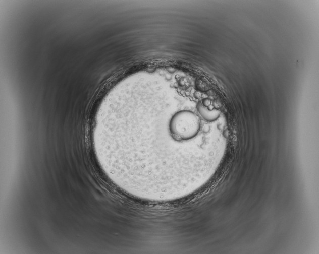 X0000115110964200911241324