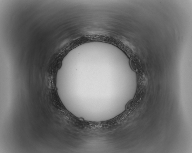 X0000115110965200911241324