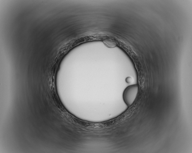X0000115110966200911241324