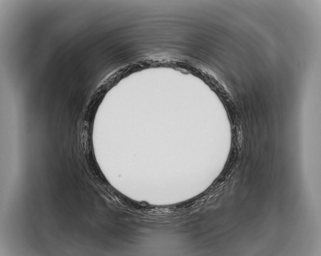 X0000115110968200911241324