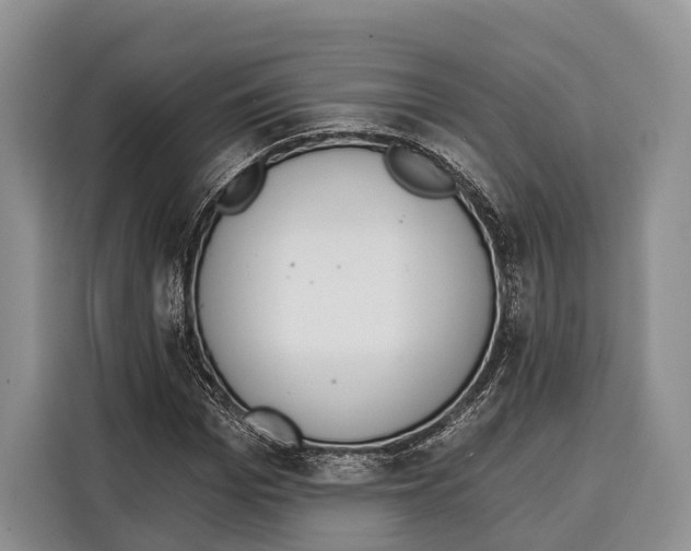 X0000115110969200911241324