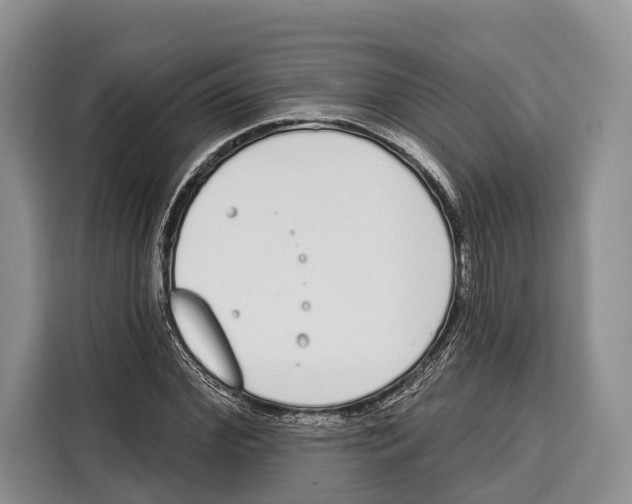 X0000115110972200911241324