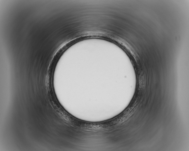 X0000115110975200911241324