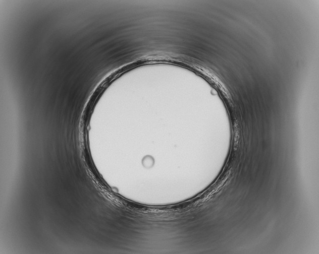 X0000115110976200911241324