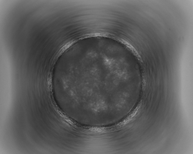 X0000115110977200911241324