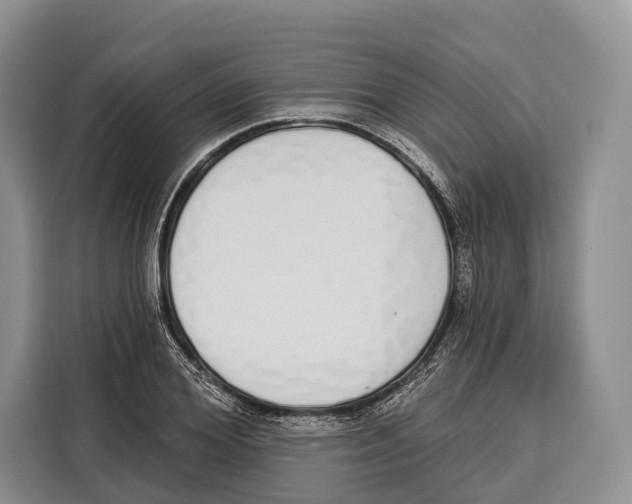 X0000115110980200911241324