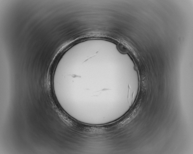 X0000115110981200911241324