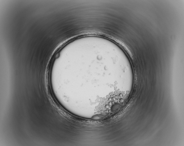 X0000115110983200911241324