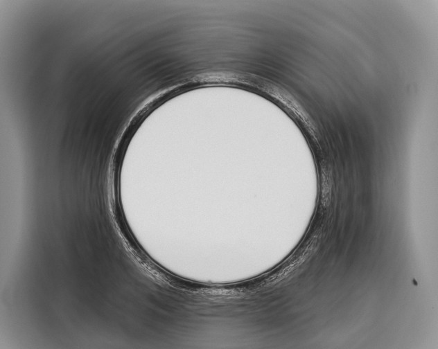 X0000115110984200911241324