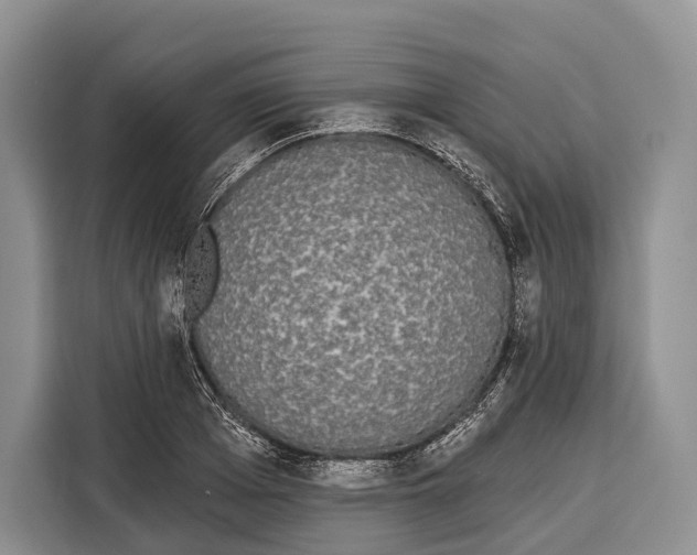 X0000115110985200911241324