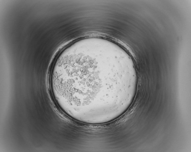 X0000115110987200911241324