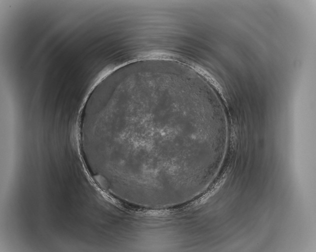 X0000115110989200911241323