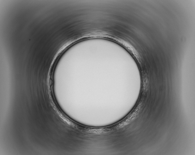 X0000115110990200911241323