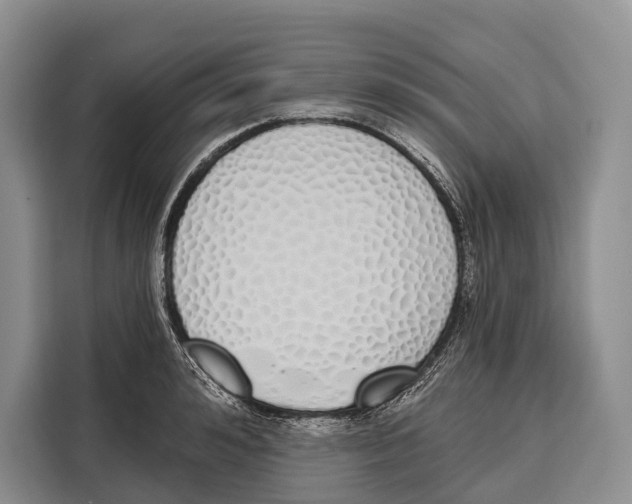X0000115110992200911241323