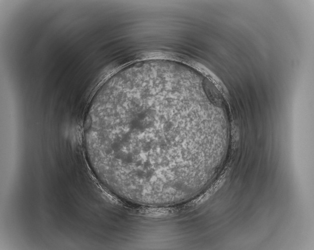 X0000115110993200911241323