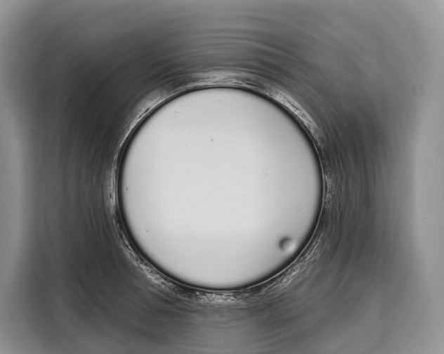 X0000115110994200911241323