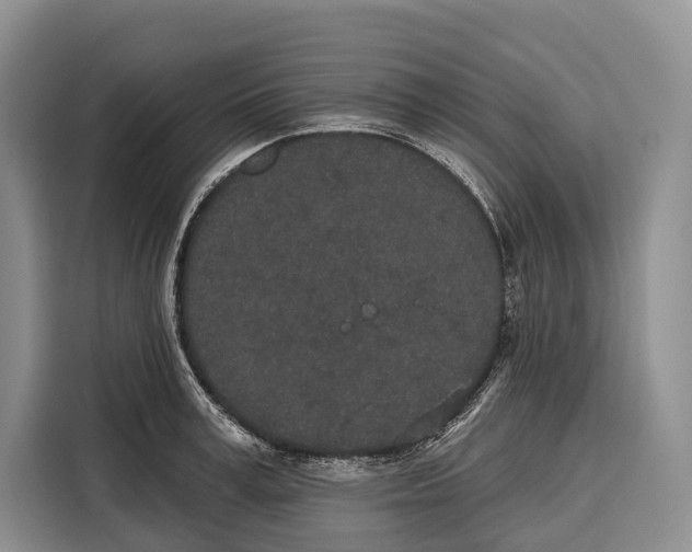 X0000115110995200911241323