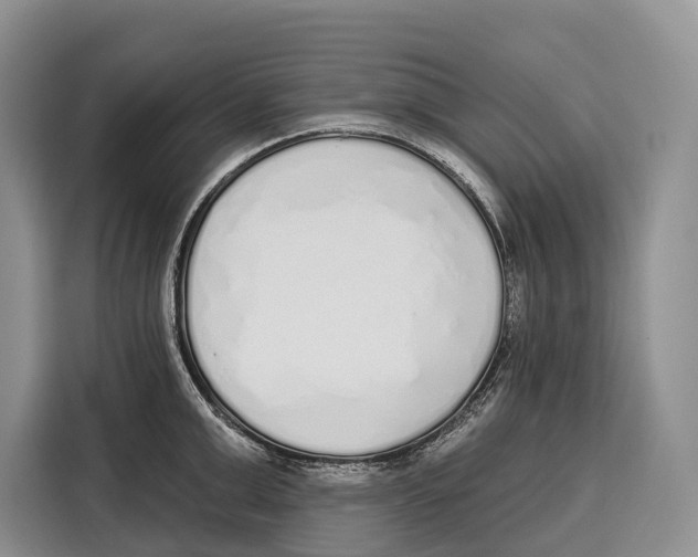 X0000115110999200911241323