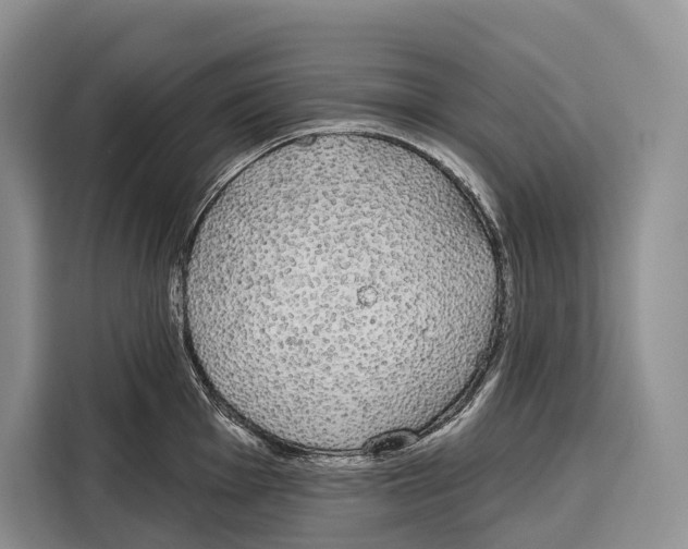 X0000115111001200911241323