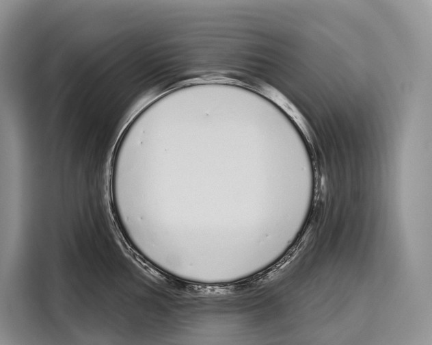 X0000115111002200911241323
