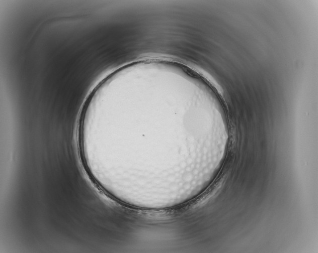 X0000115111007200911241323