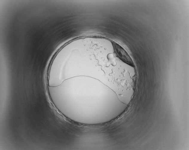 X0000115111008200911241323
