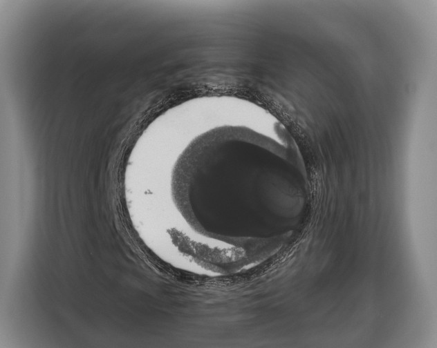 X0000115111009200911241323