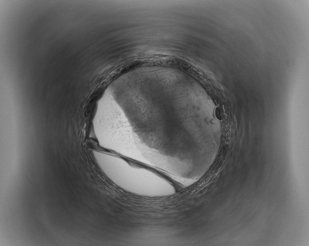 X0000115111013200911241323