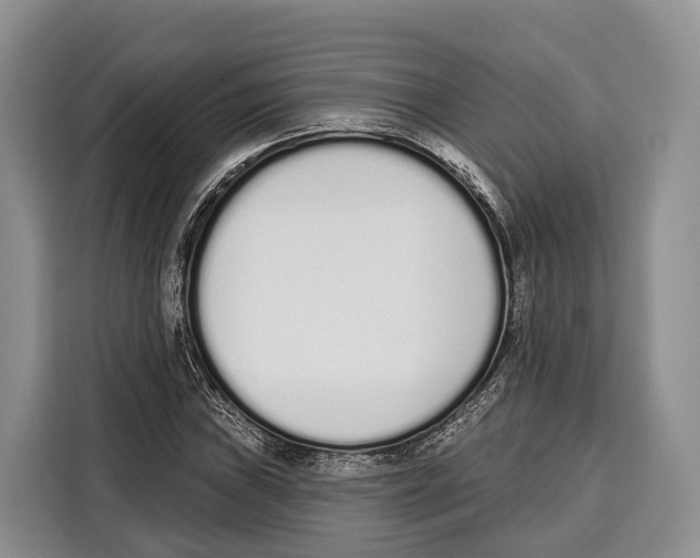 X0000115111019200911241323