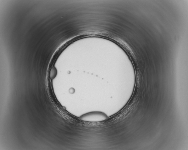X0000115111020200911241323