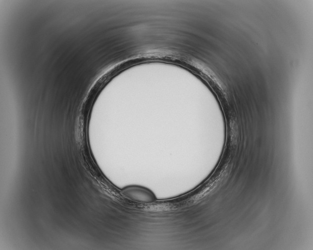 X0000115111021200911241323