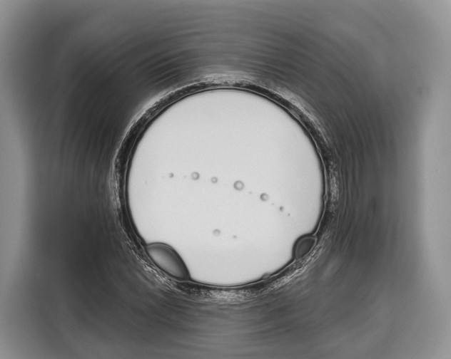 X0000115111022200911241323