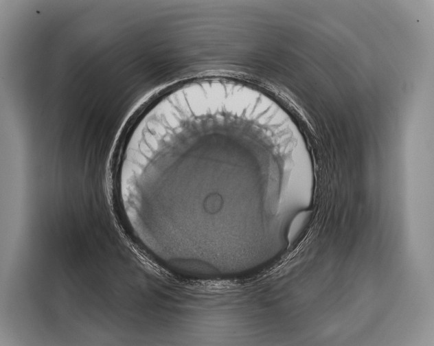 X0000115111024200911241323