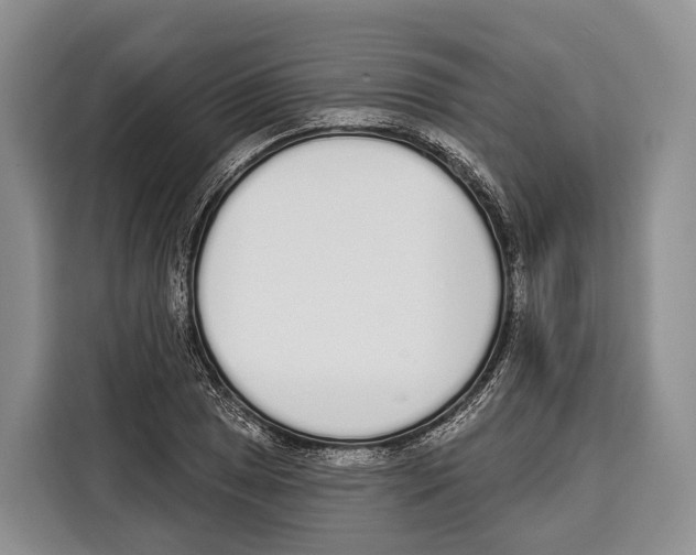 X0000115111025200911241323