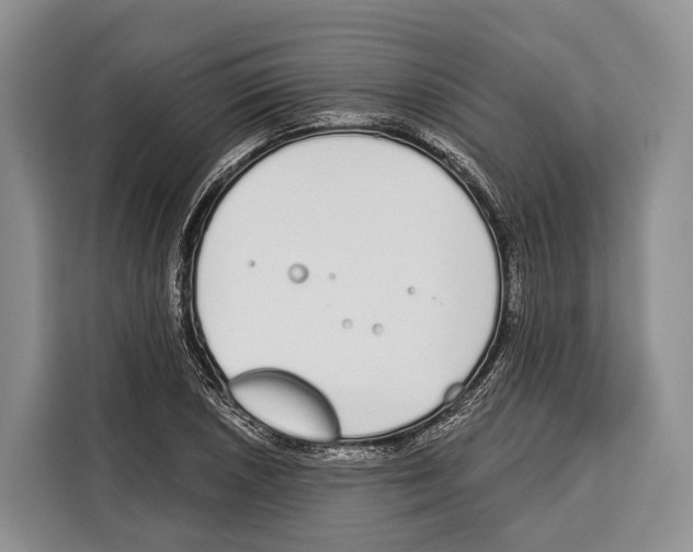 X0000115111026200911241323