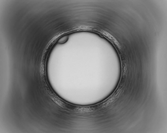 X0000115111027200911241323