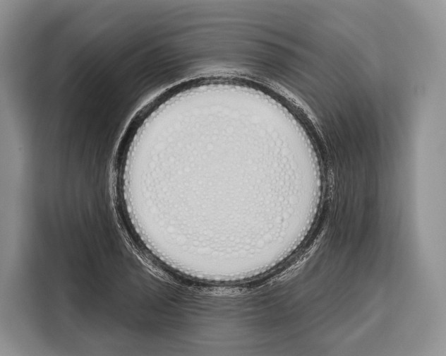 X0000115111029200911241323